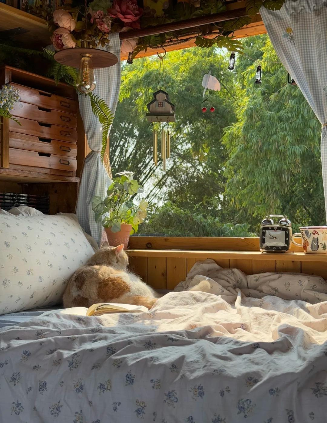 Cụ b&agrave; 70 tuổi thầm lặng sống trong căn nh&agrave; nhỏ: Tự chăm s&oacute;c bản th&acirc;n, kh&ocirc;ng l&agrave;m g&aacute;nh nặng cho con ch&aacute;u- Ảnh 7.