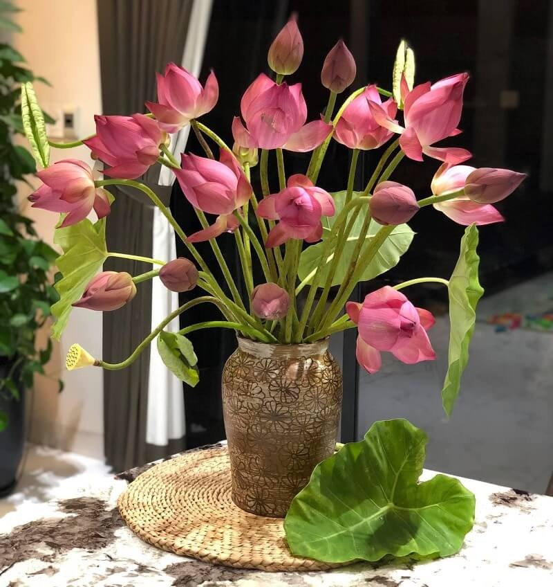 M&ugrave;ng 1 c&uacute;ng 5 lo&agrave;i hoa n&agrave;y: Bề tr&ecirc;n h&agrave;i l&ograve;ng, hanh th&ocirc;ng cả th&aacute;ng- Ảnh 4.