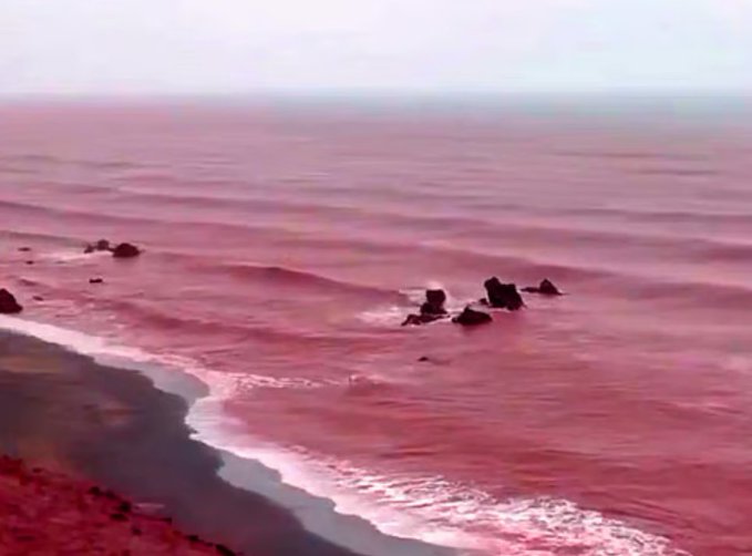 "Mưa m&aacute;u" nhuộm đỏ cả b&atilde;i biển, người d&acirc;n sợ h&atilde;i nghĩ đến lời ti&ecirc;n tri về ng&agrave;y tận thế- Ảnh 2.