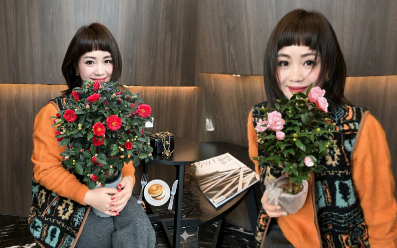 Tết 2026 chơi g&igrave; cho 