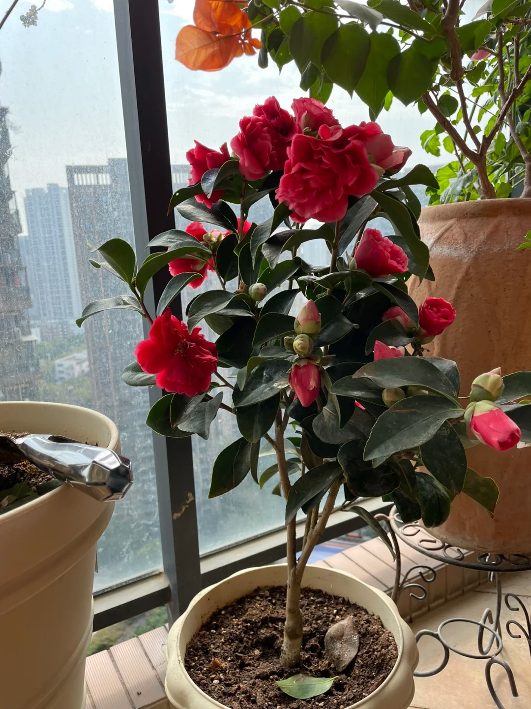 Tết 2026 chơi g&igrave; cho 