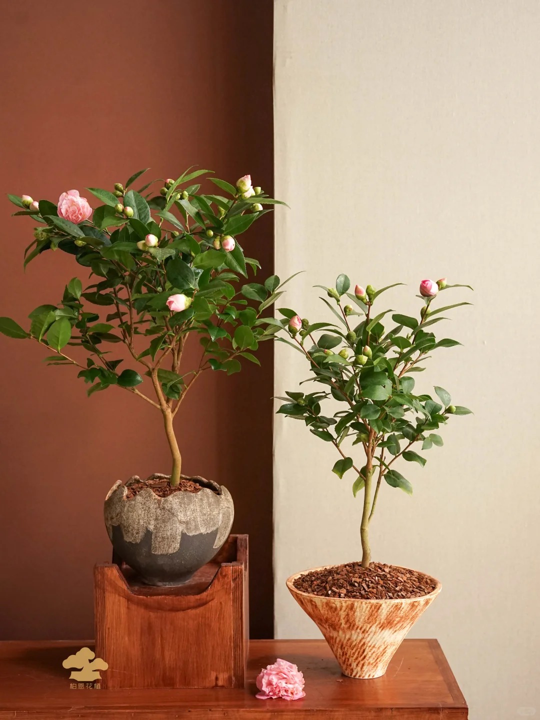 Tết 2026 chơi g&igrave; cho 