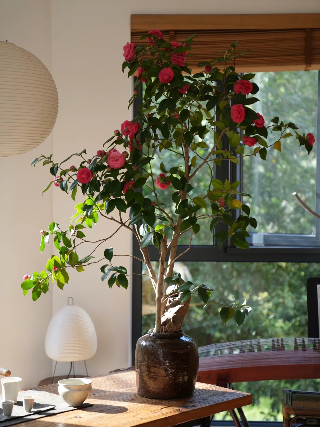 Tết 2026 chơi g&igrave; cho 