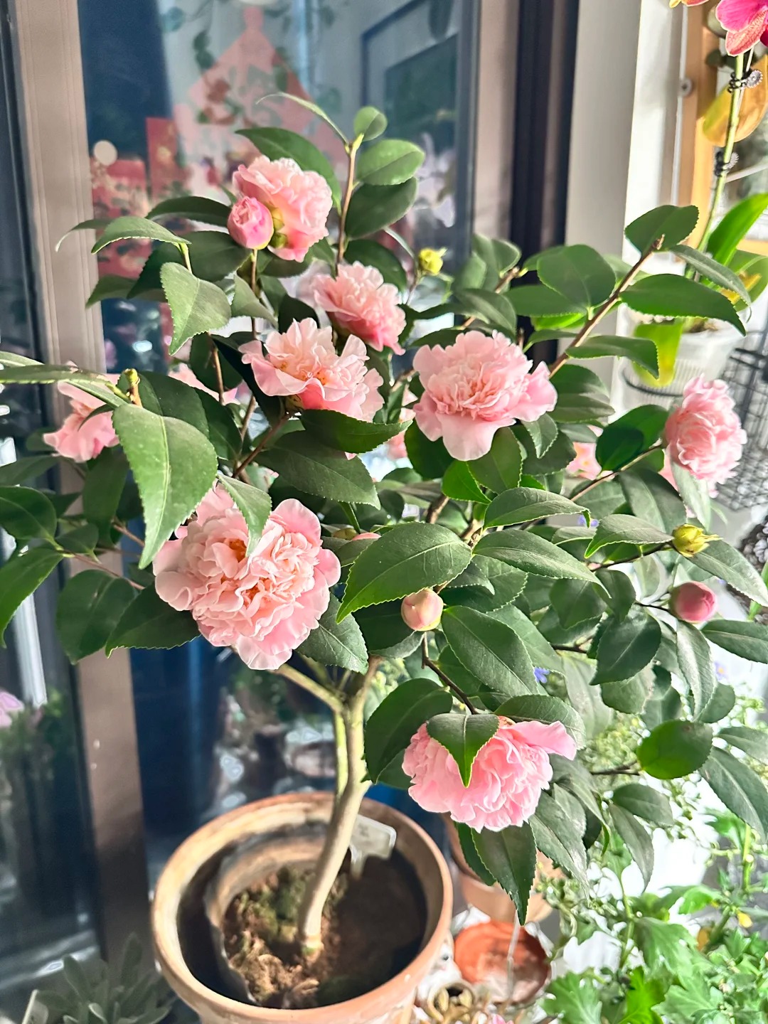 Tết 2026 chơi g&igrave; cho 