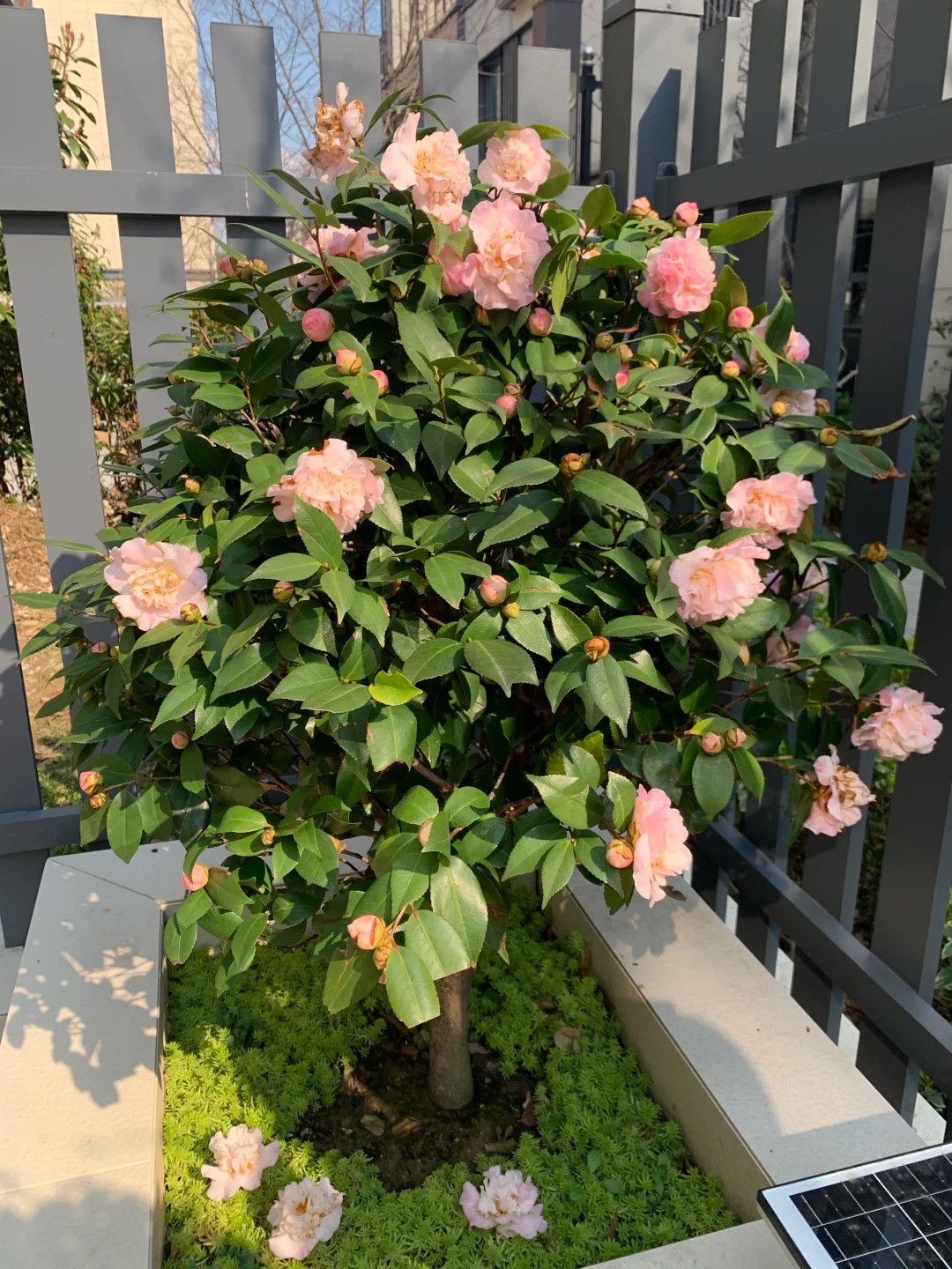 Tết 2026 chơi g&igrave; cho 