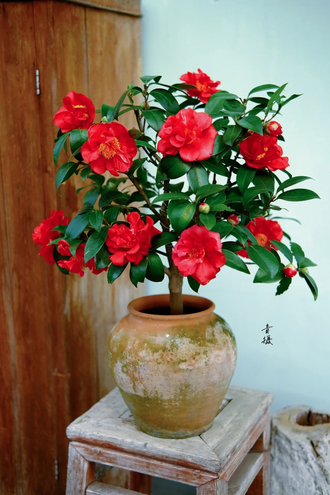 Tết 2026 chơi g&igrave; cho 