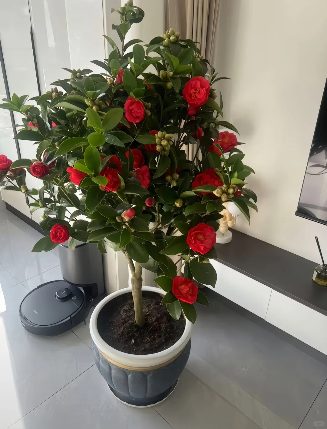 Tết 2026 chơi g&igrave; cho 