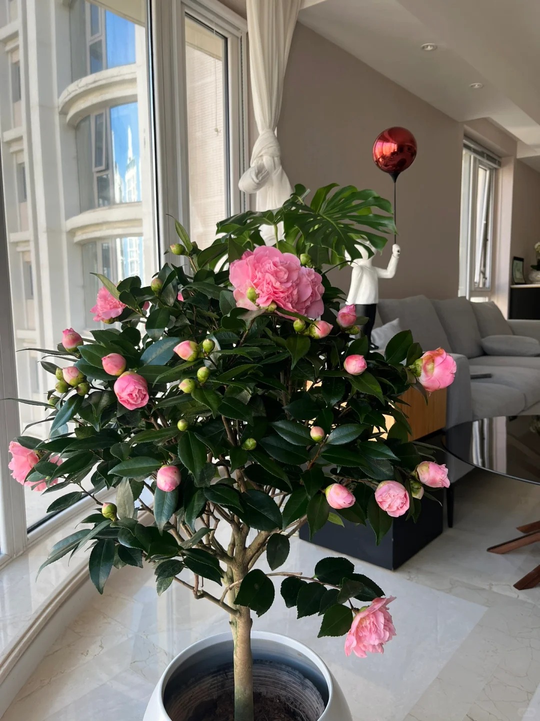 Tết 2026 chơi g&igrave; cho 