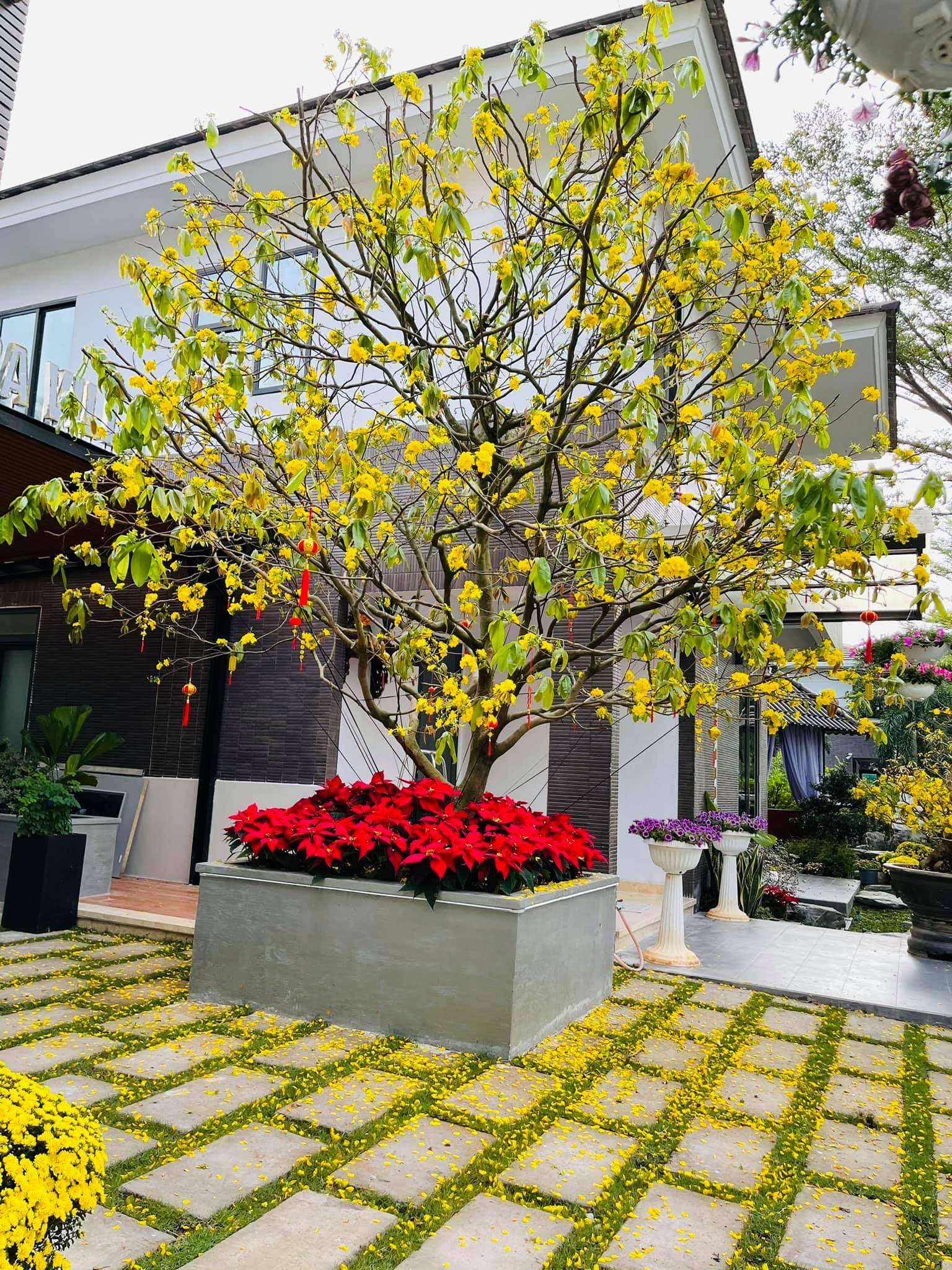 Nữ ca sĩ Việt 40 tuổi tự sinh con, không lấy chồng, ở biệt thự 20 tỷ- Ảnh 9. Nữ ca sĩ Việt 40 tuổi tự sinh con, không lấy chồng, ở biệt thự 20 tỷ- Ảnh 9.