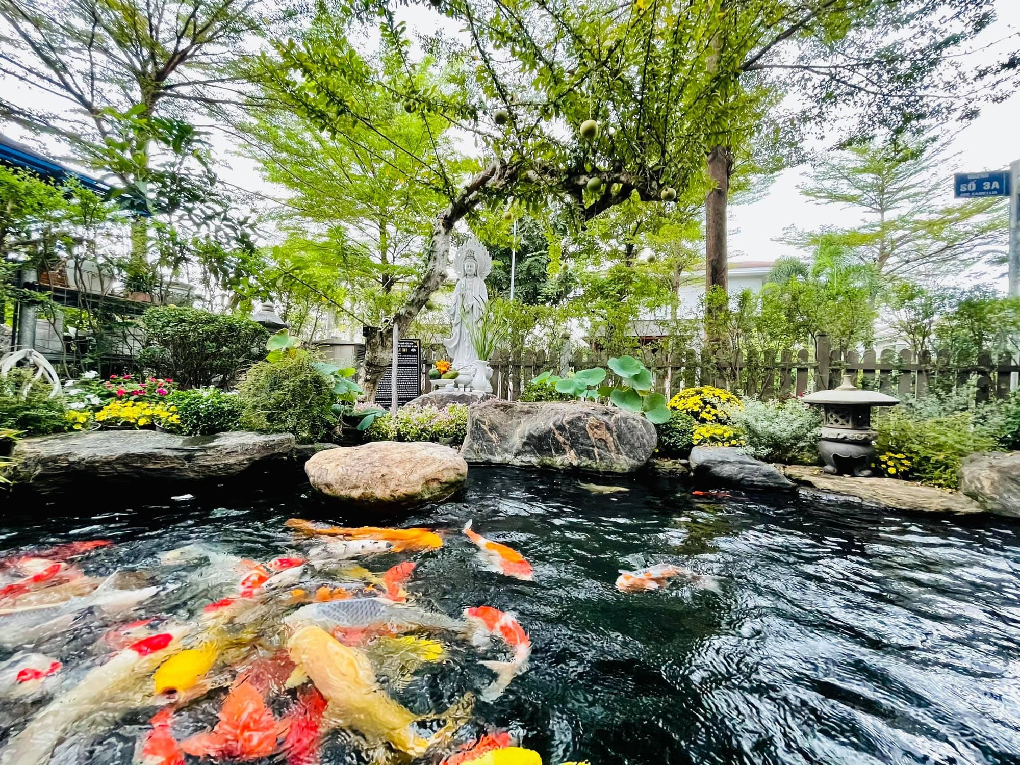 Nữ ca sĩ Việt 40 tuổi tự sinh con, không lấy chồng, ở biệt thự 20 tỷ- Ảnh 5. Nữ ca sĩ Việt 40 tuổi tự sinh con, không lấy chồng, ở biệt thự 20 tỷ- Ảnh 5.