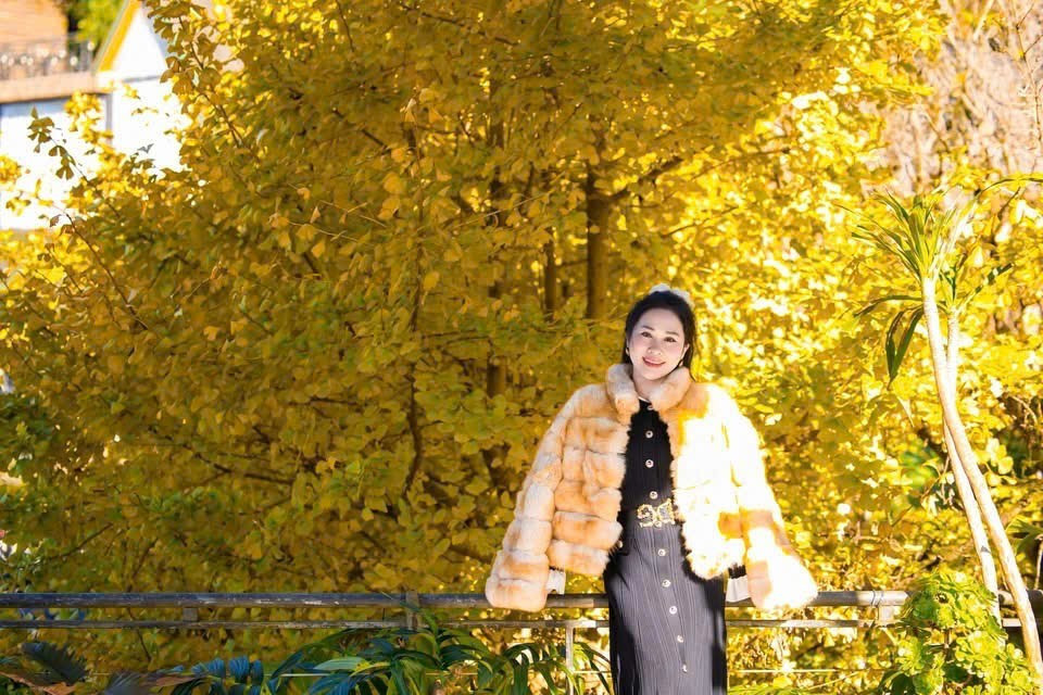 Loài cây ở Sa Pa xanh tươi quanh năm bỗng chuyển sắc vàng rực rỡ- Ảnh 6.