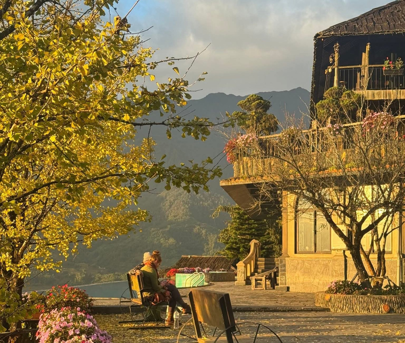 Loài cây ở Sa Pa xanh tươi quanh năm bỗng chuyển sắc vàng rực rỡ- Ảnh 2.