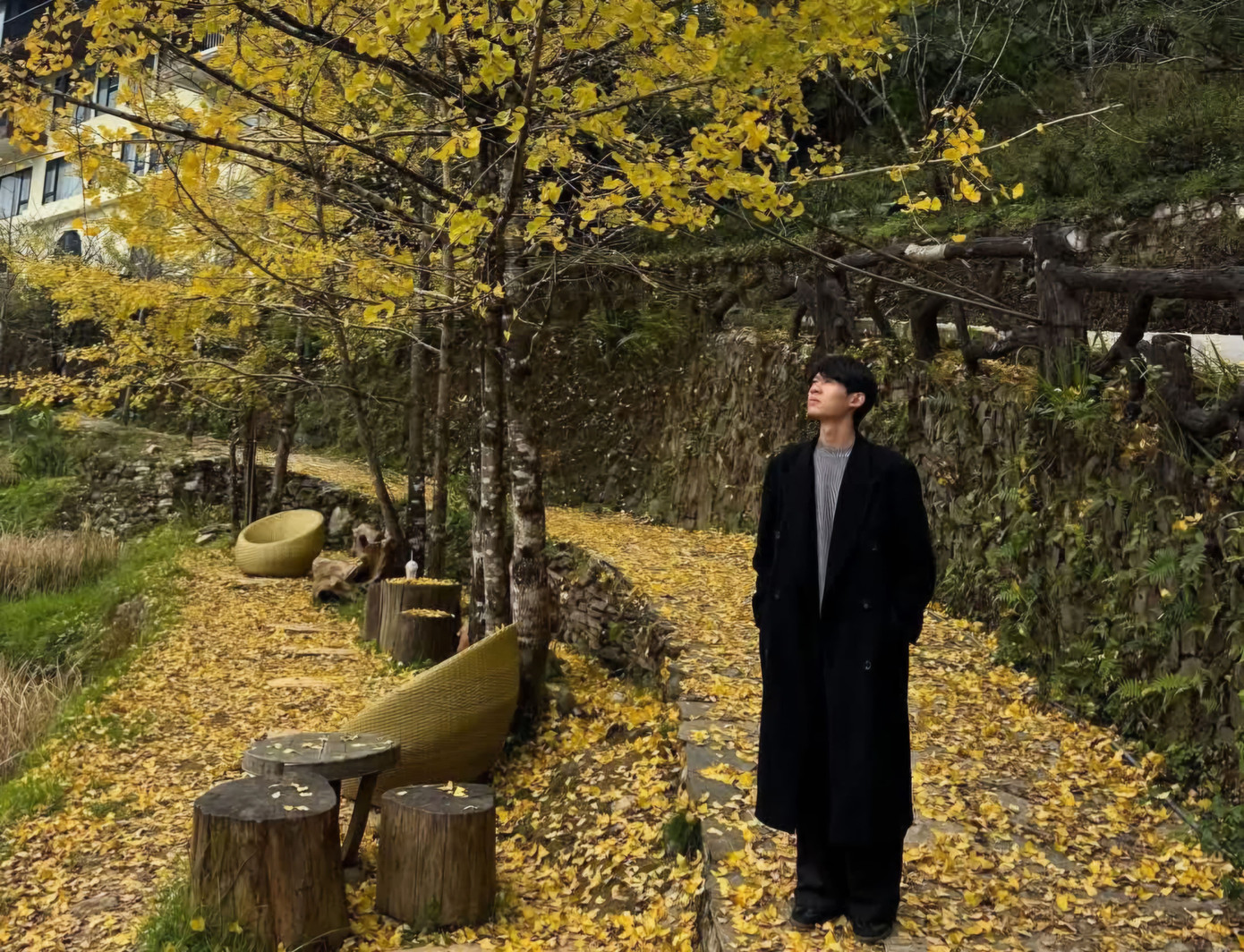 Loài cây ở Sa Pa xanh tươi quanh năm bỗng chuyển sắc vàng rực rỡ- Ảnh 8.