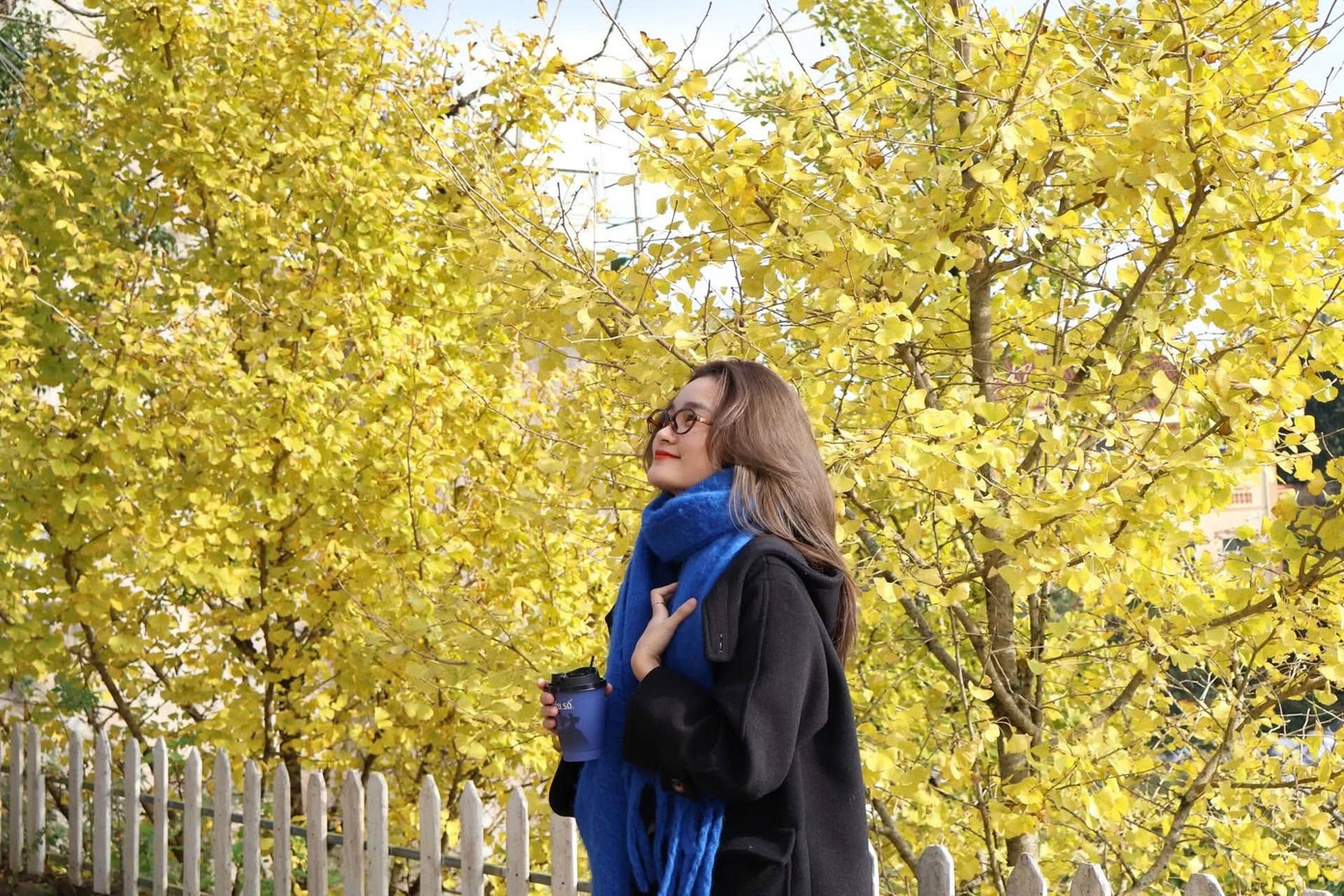 Loài cây ở Sa Pa xanh tươi quanh năm bỗng chuyển sắc vàng rực rỡ- Ảnh 9.