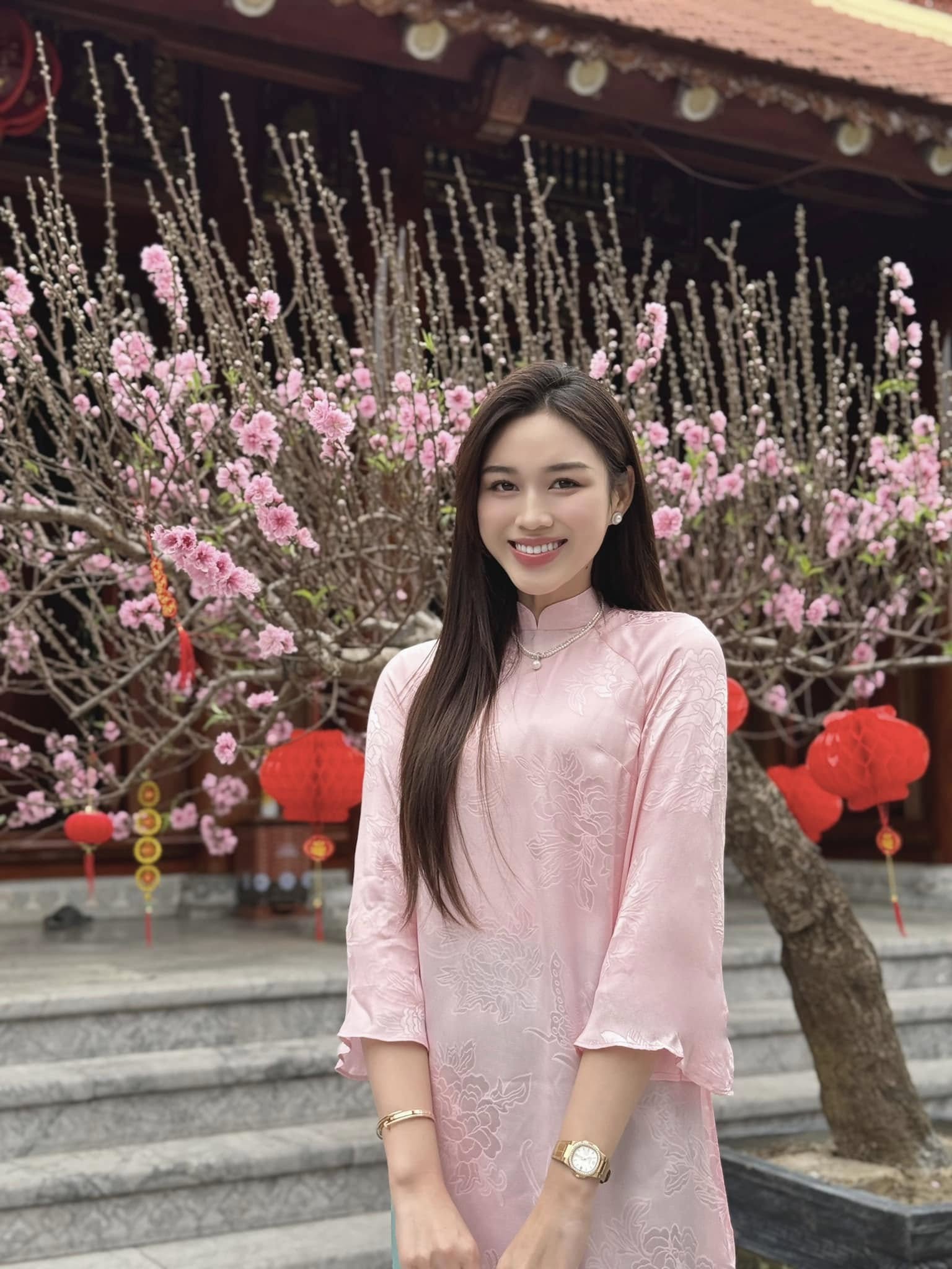 Hoa hậu Đỗ Hà vướng chỉ trích- Ảnh 4. Hoa hậu Đỗ Hà vướng chỉ trích- Ảnh 4.