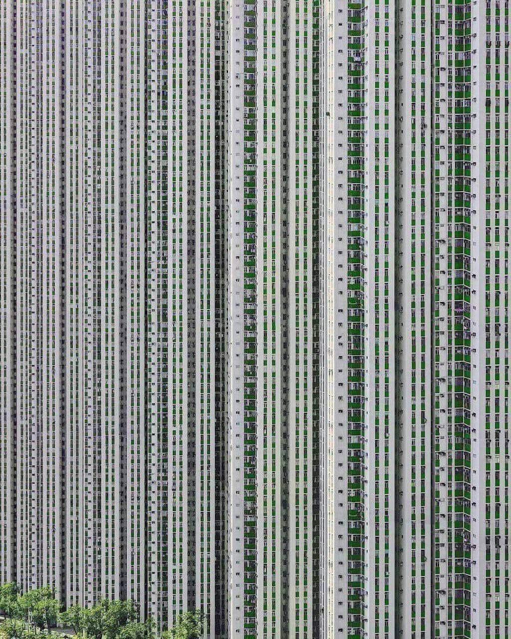 Bức ảnh chụp chung cư ở Hong Kong lúc này được nhiều người quan tâm- Ảnh 1.