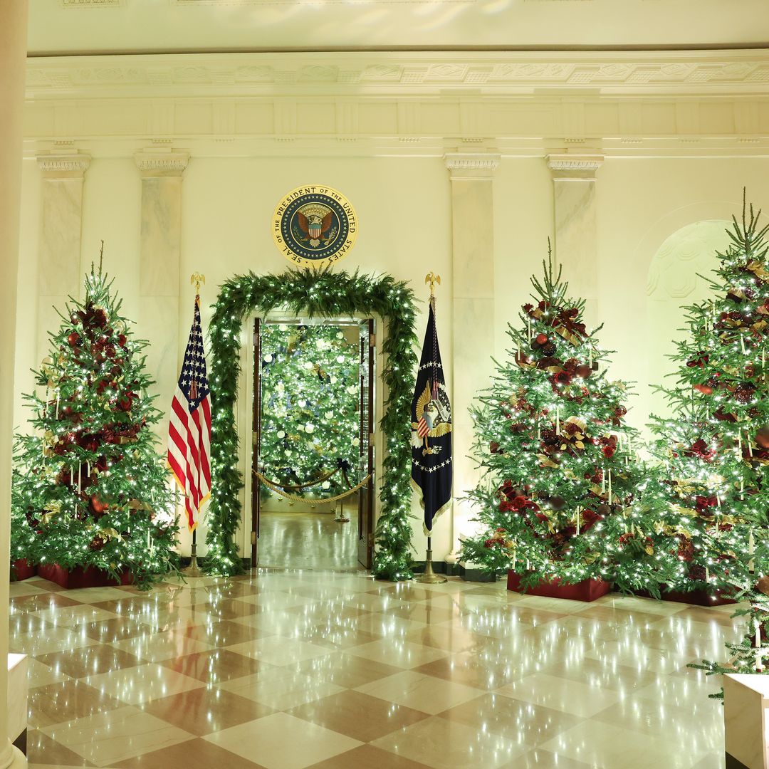 Vì sao trang trí Giáng sinh của Melania Trump năm nay được gọi là “thật sự đặc biệt”?- Ảnh 4.