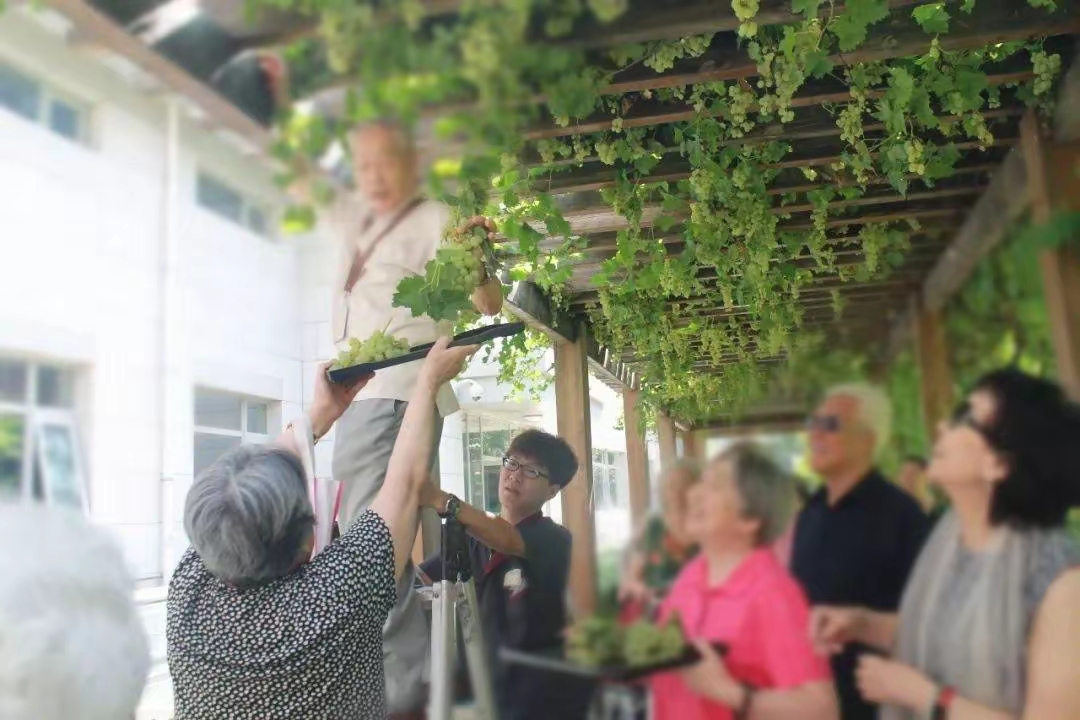 Người đàn ông mở viện dưỡng lão mini ngay tại chung cư, thu nhập hơn 130 triệu/tháng vẫn than thở: "Không lỗ là may"- Ảnh 1.