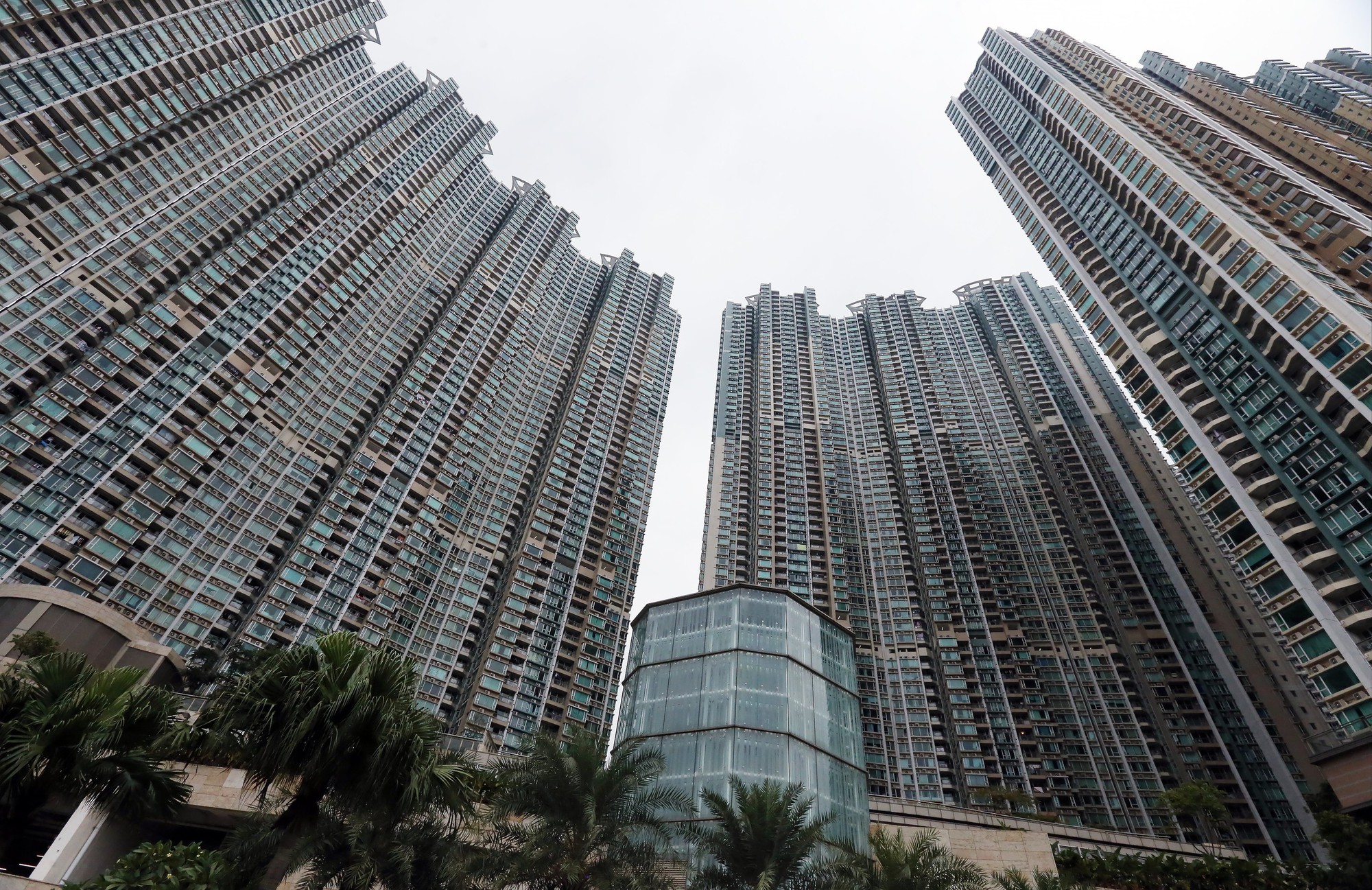 Bức ảnh chụp chung cư ở Hong Kong lúc này được nhiều người quan tâm- Ảnh 2.