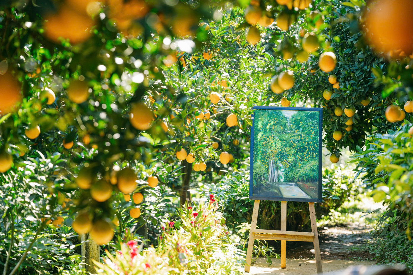 Vườn như trong phim hút khách du lịch Mộc Châu- Ảnh 10.