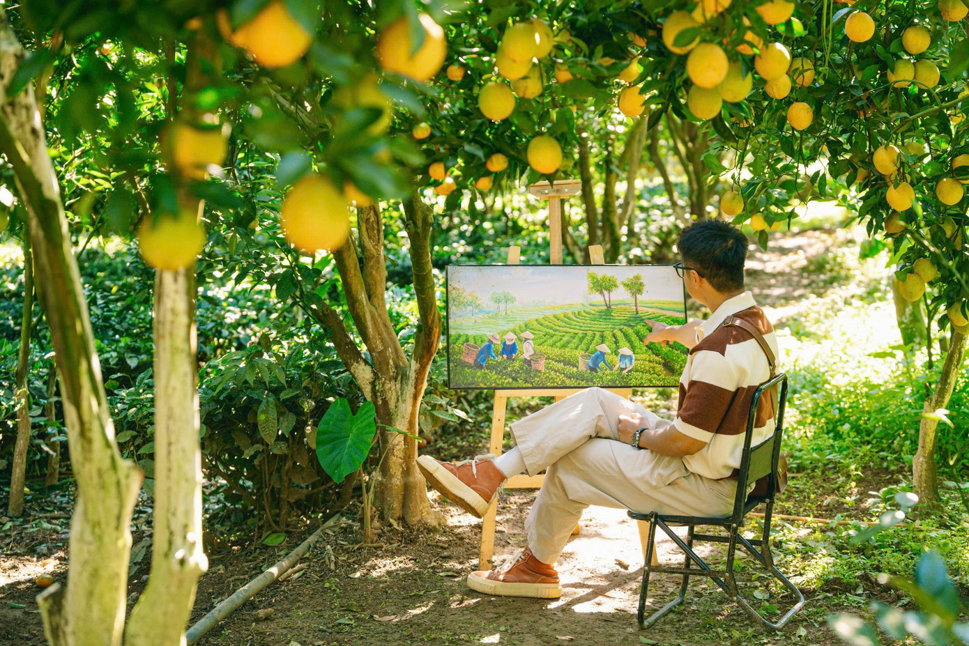 Vườn như trong phim hút khách du lịch Mộc Châu- Ảnh 11.