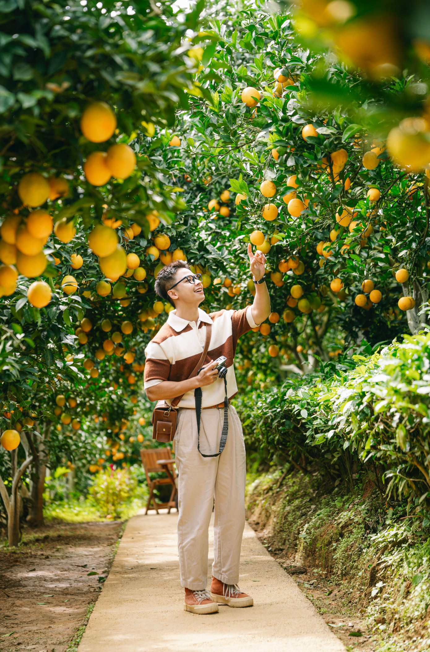 Vườn như trong phim hút khách du lịch Mộc Châu- Ảnh 4.