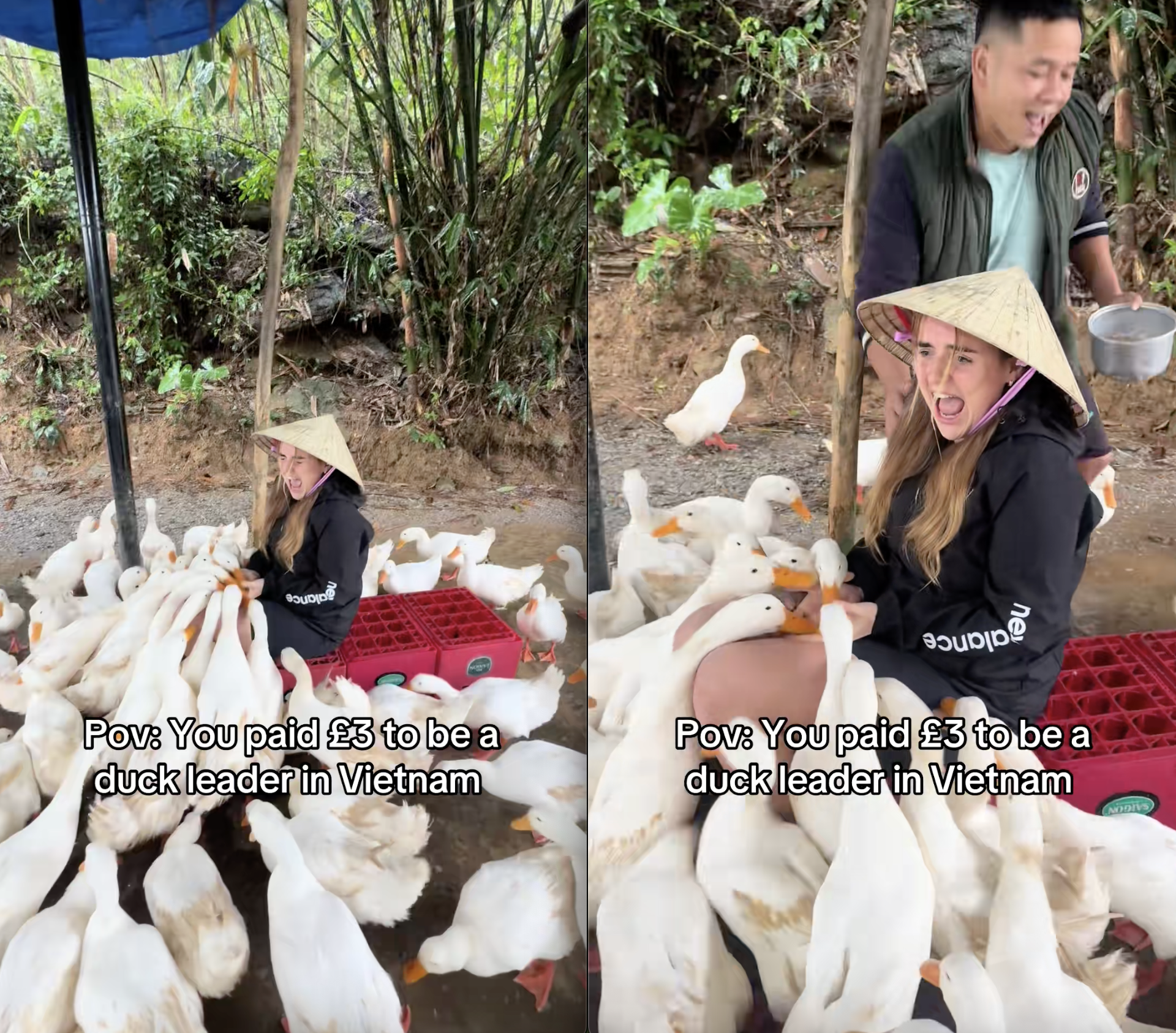 Cô gái Tây la hét thất thanh khi thử 1 trò chơi độc lạ ở Việt Nam- Ảnh 1.