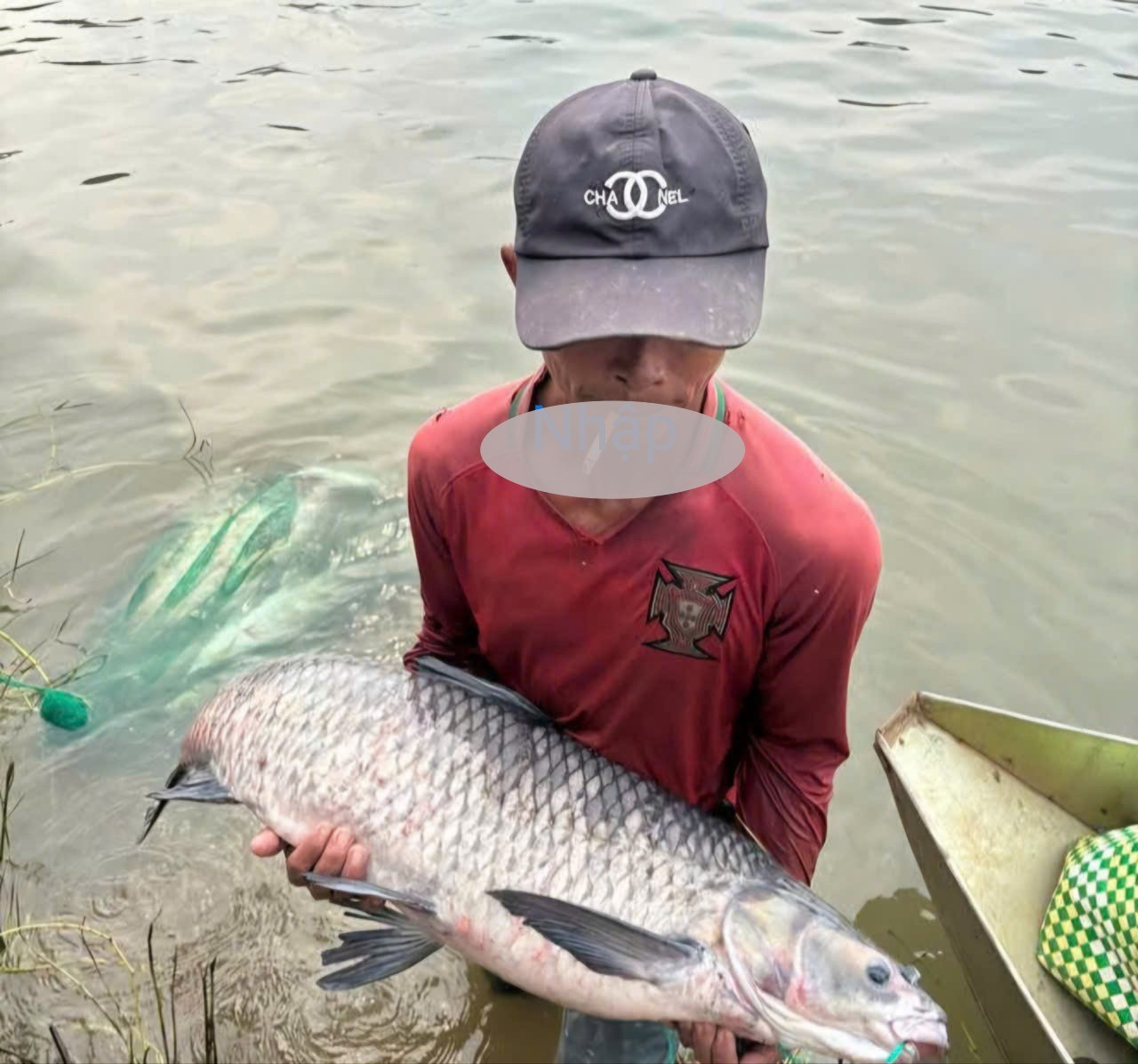 Người dân bắt được nhiều cá 'khủng' sau khi thủy điện Trị An ngưng xả tràn- Ảnh 4.