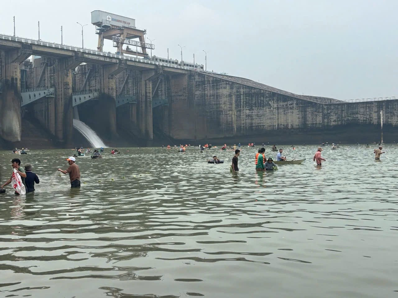 Người dân bắt được nhiều cá 'khủng' sau khi thủy điện Trị An ngưng xả tràn- Ảnh 1.