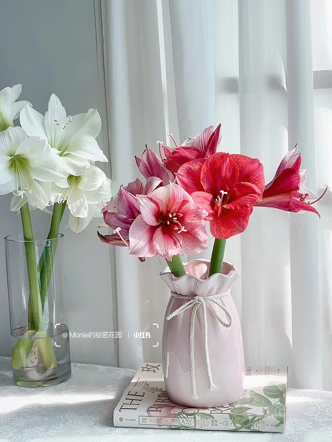 Nhiều chị em đang mê đắm loài hoa này: Cắm bình cũng đẹp, để cả chậu cũng sang, Tết nhìn là thấy giàu- Ảnh 22.