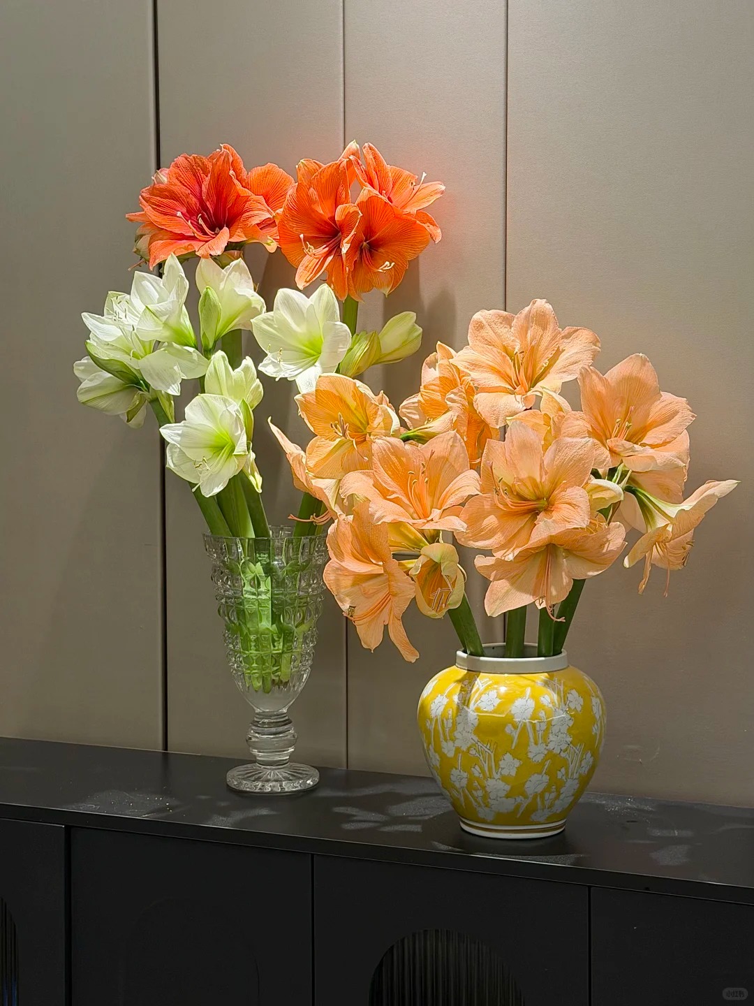 Nhiều chị em đang mê đắm loài hoa này: Cắm bình cũng đẹp, để cả chậu cũng sang, Tết nhìn là thấy giàu- Ảnh 13.