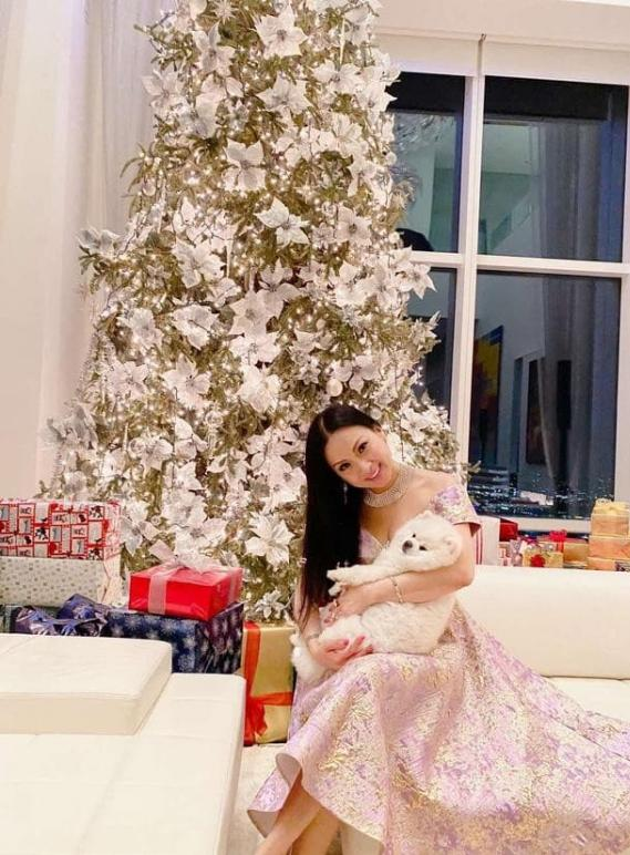 Ca sĩ Việt giàu nhất thế giới ở penthouse 2.600 tỷ, view nhìn thẳng New York- Ảnh 6.