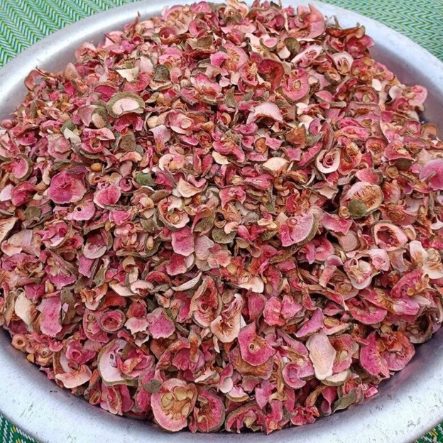 Thứ quà quê có vị chua chua, ruột hồng bắt mắt được nhiều người săn lùng- Ảnh 4.