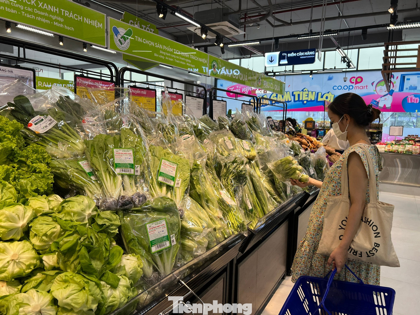 Rau trái về TPHCM tăng dần, nhiều loại chỉ 10.000 đồng/kg- Ảnh 4.