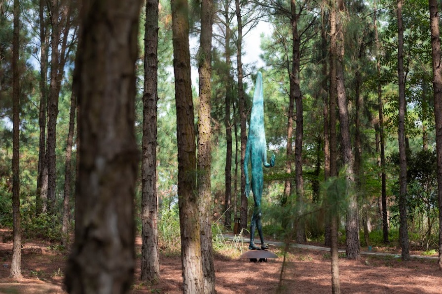 Bảo tàng ngoài trời nằm giữa rừng thông đang gây sốt: Cách Hà Nội hơn 1 tiếng lái xe, quy tụ hơn 100 tác phẩm được dàn dựng giữa không gian ngập nắng và gió- Ảnh 3.