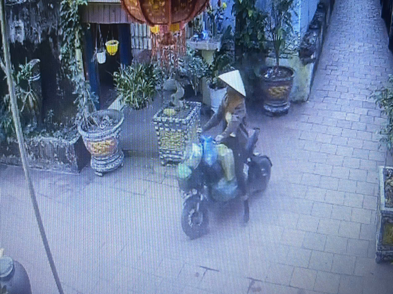 Khám xét khẩn cấp nơi ở, bắt giữ Nguyễn Thị Chung- Ảnh 1.