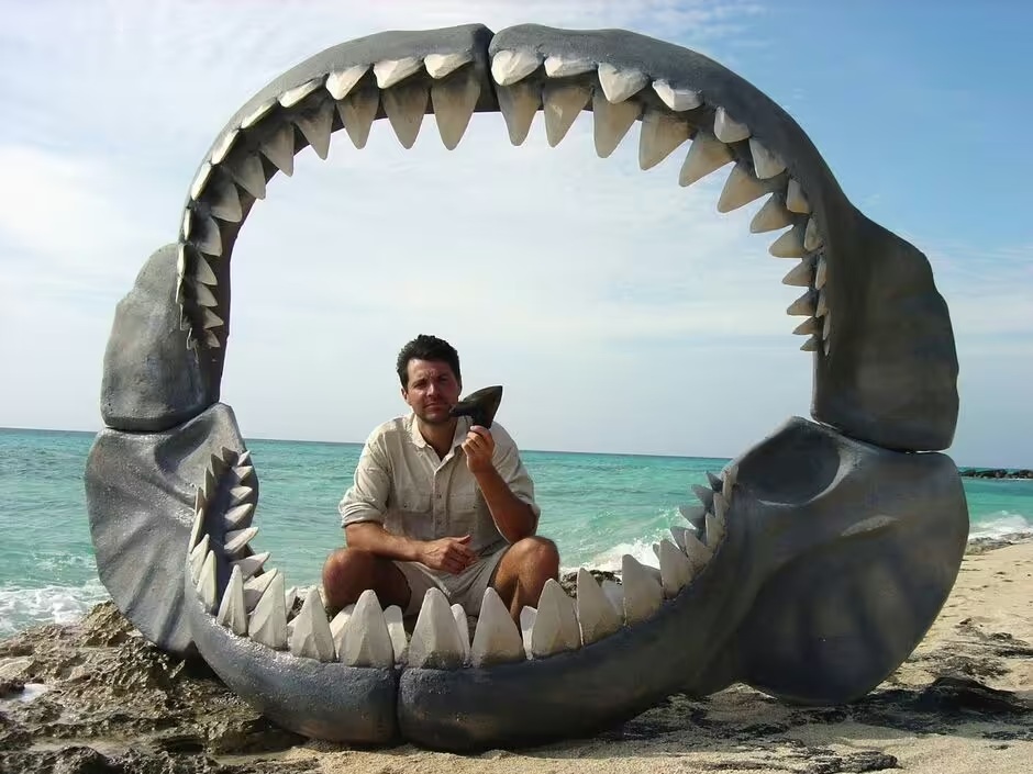 Tiếng động lạ từ đ&aacute;y đại dương: Kh&ocirc;ng phải qu&aacute;i vật biển, sự thật c&ograve;n đ&aacute;ng sợ hơn- Ảnh 1.