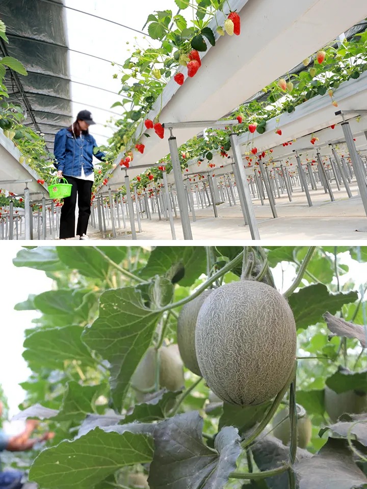 Chuyện những người n&ocirc;ng d&acirc;n 4.0: Khi 