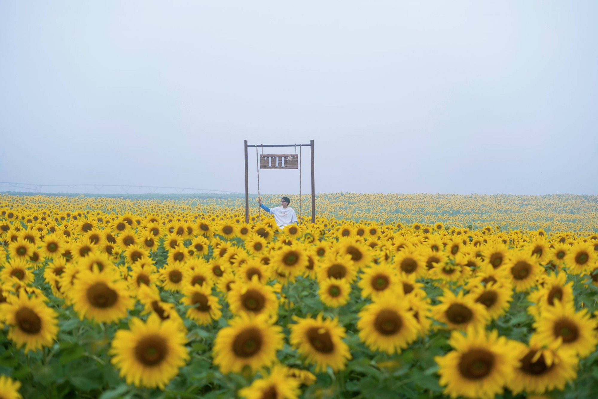 Nơi được quan tâm nhất lúc này ở Nghệ An: Cảnh như nước ngoài, mở cửa miễn phí nhưng có lưu ý đặc biệt- Ảnh 7. Nơi được quan tâm nhất lúc này ở Nghệ An: Cảnh như nước ngoài, mở cửa miễn phí nhưng có lưu ý đặc biệt- Ảnh 7.