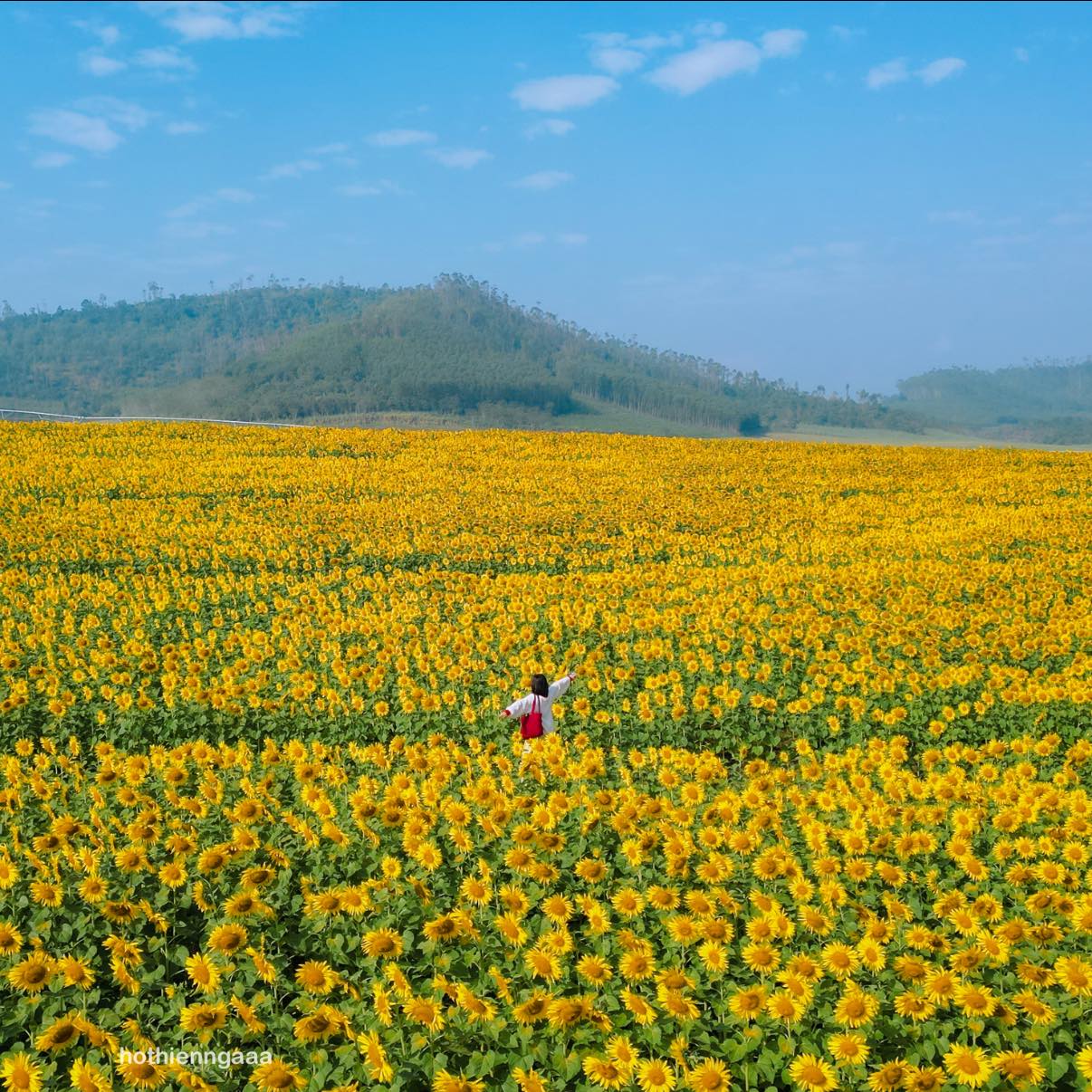 Nơi được quan tâm nhất lúc này ở Nghệ An: Cảnh như nước ngoài, mở cửa miễn phí nhưng có lưu ý đặc biệt- Ảnh 15. Nơi được quan tâm nhất lúc này ở Nghệ An: Cảnh như nước ngoài, mở cửa miễn phí nhưng có lưu ý đặc biệt- Ảnh 15.