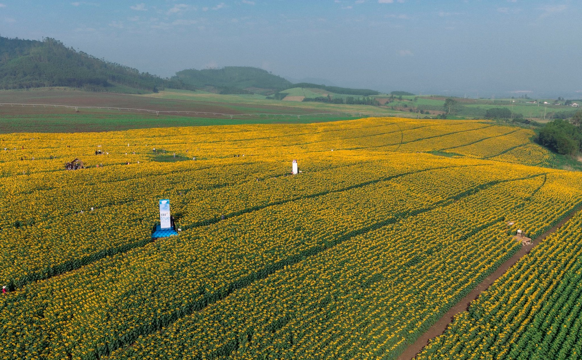Nơi được quan tâm nhất lúc này ở Nghệ An: Cảnh như nước ngoài, mở cửa miễn phí nhưng có lưu ý đặc biệt- Ảnh 6. Nơi được quan tâm nhất lúc này ở Nghệ An: Cảnh như nước ngoài, mở cửa miễn phí nhưng có lưu ý đặc biệt- Ảnh 6.