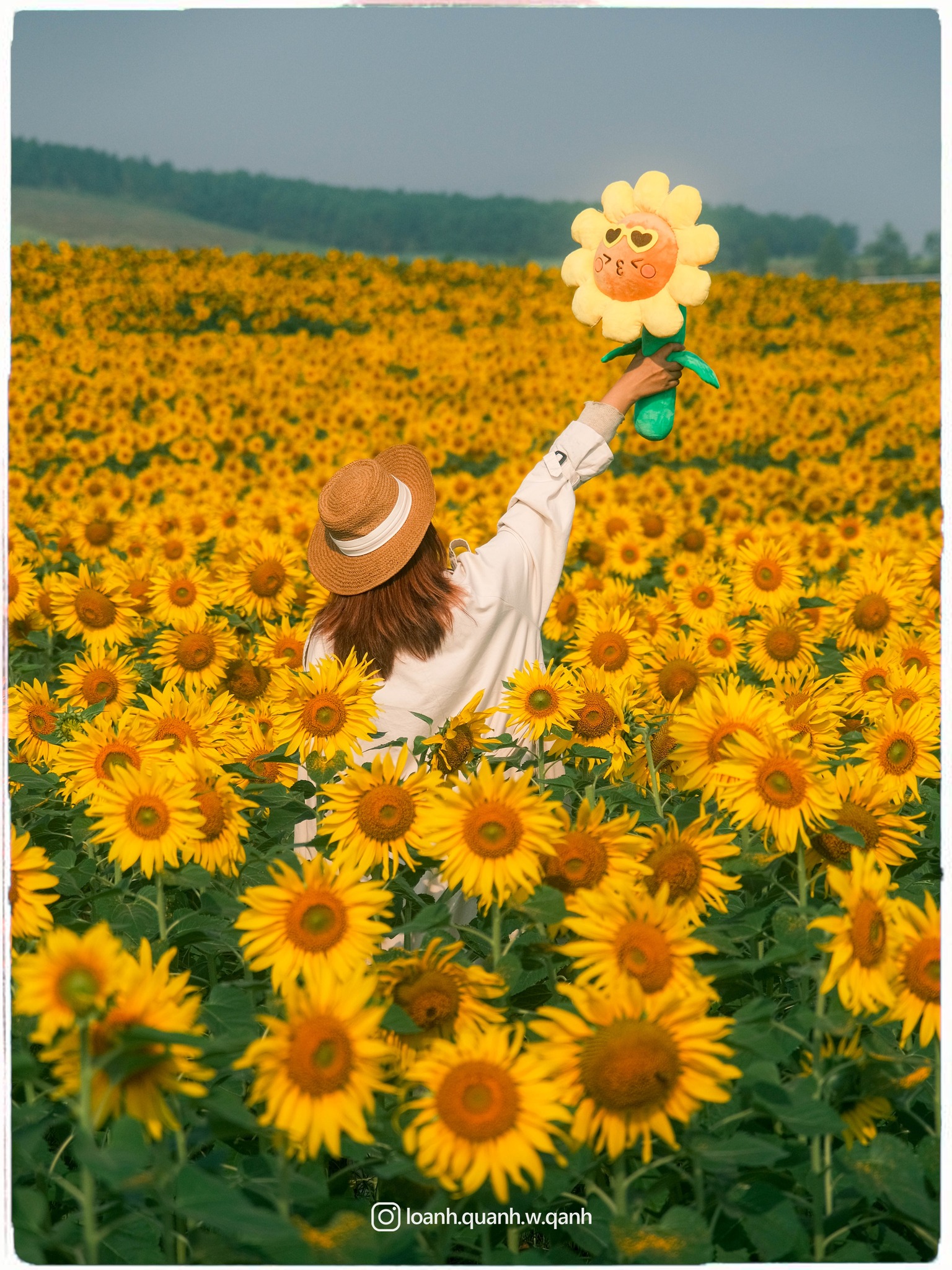 Nơi được quan tâm nhất lúc này ở Nghệ An: Cảnh như nước ngoài, mở cửa miễn phí nhưng có lưu ý đặc biệt- Ảnh 18. Nơi được quan tâm nhất lúc này ở Nghệ An: Cảnh như nước ngoài, mở cửa miễn phí nhưng có lưu ý đặc biệt- Ảnh 18.