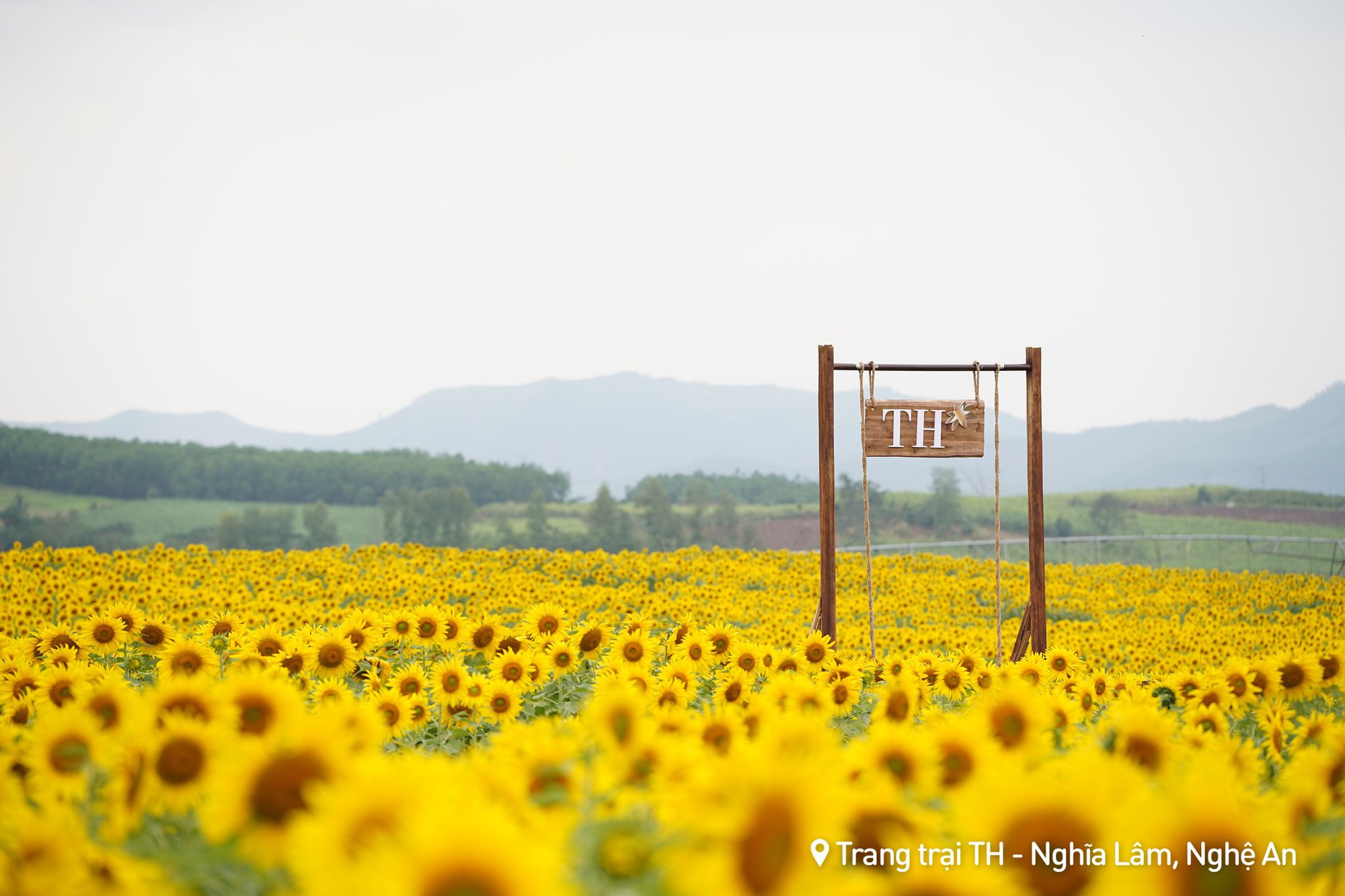 Nơi được quan tâm nhất lúc này ở Nghệ An: Cảnh như nước ngoài, mở cửa miễn phí nhưng có lưu ý đặc biệt- Ảnh 4. Nơi được quan tâm nhất lúc này ở Nghệ An: Cảnh như nước ngoài, mở cửa miễn phí nhưng có lưu ý đặc biệt- Ảnh 4.