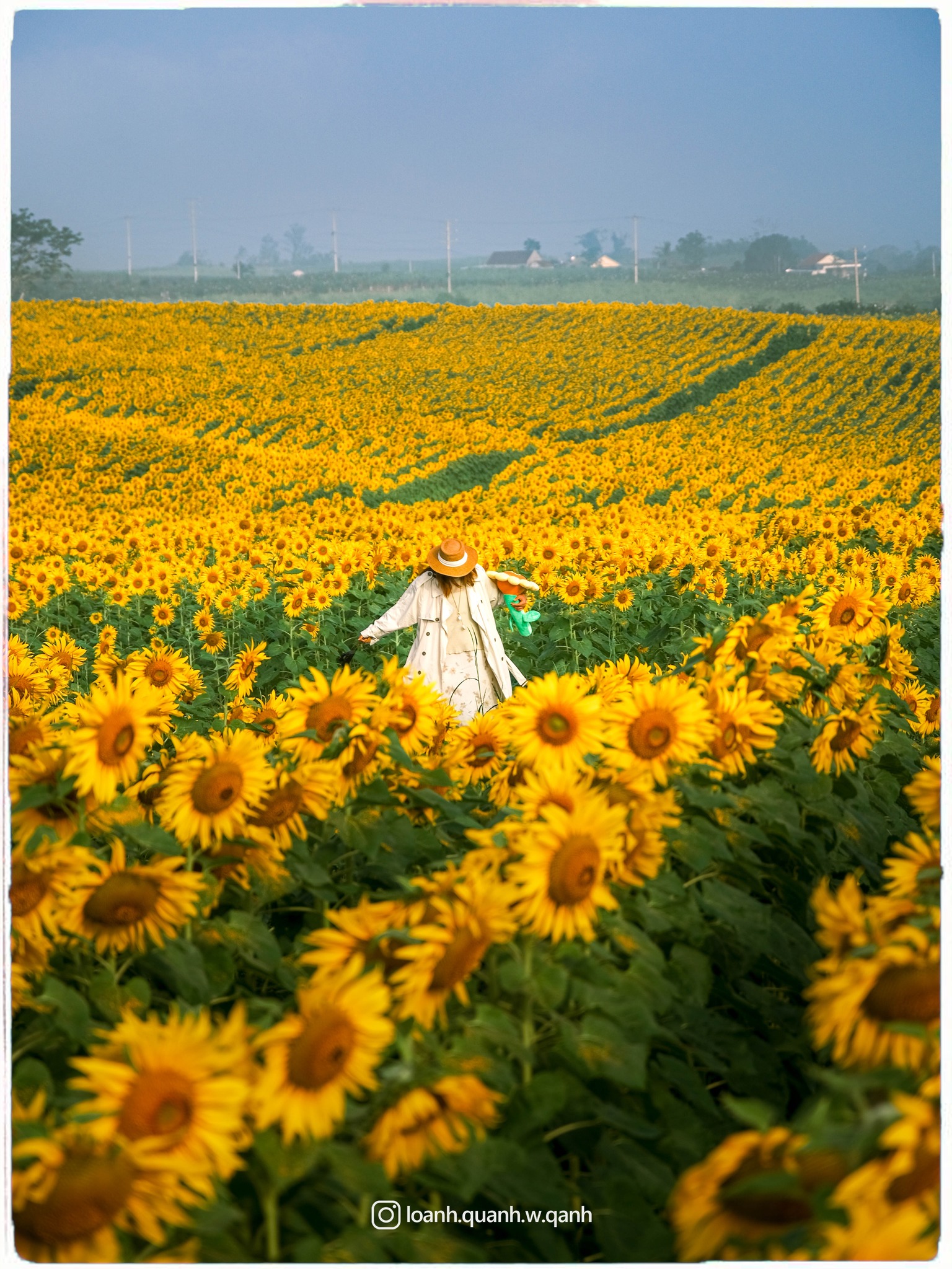 Nơi được quan tâm nhất lúc này ở Nghệ An: Cảnh như nước ngoài, mở cửa miễn phí nhưng có lưu ý đặc biệt- Ảnh 14. Nơi được quan tâm nhất lúc này ở Nghệ An: Cảnh như nước ngoài, mở cửa miễn phí nhưng có lưu ý đặc biệt- Ảnh 14.