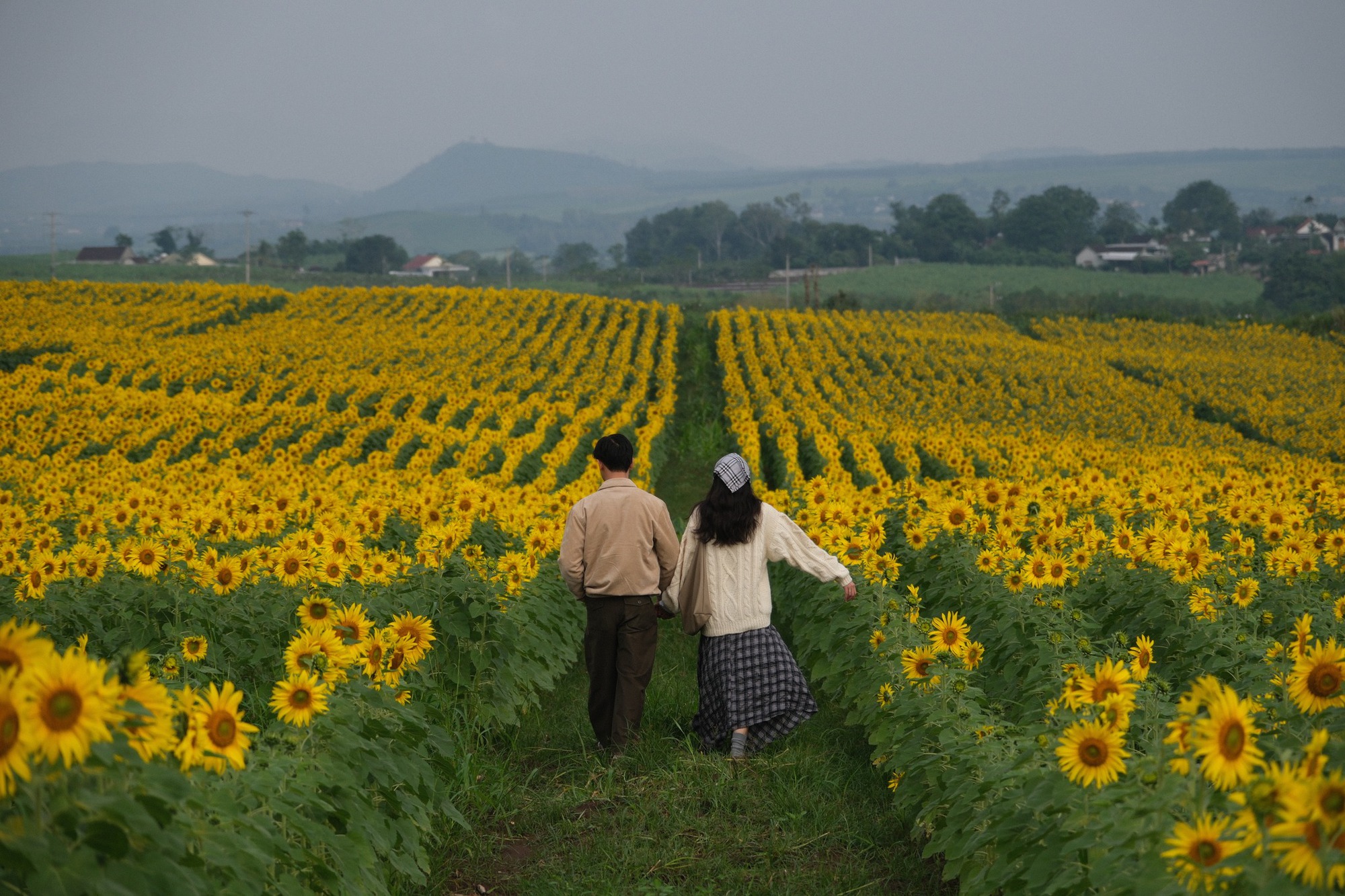 Nơi được quan tâm nhất lúc này ở Nghệ An: Cảnh như nước ngoài, mở cửa miễn phí nhưng có lưu ý đặc biệt- Ảnh 12. Nơi được quan tâm nhất lúc này ở Nghệ An: Cảnh như nước ngoài, mở cửa miễn phí nhưng có lưu ý đặc biệt- Ảnh 12.