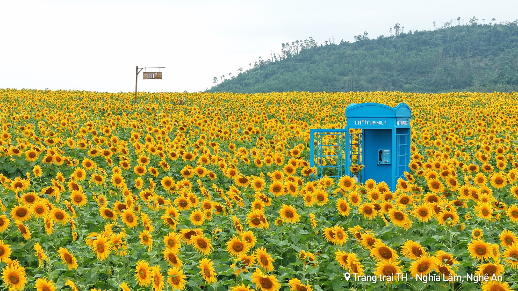 Nơi được quan tâm nhất lúc này ở Nghệ An: Cảnh như nước ngoài, mở cửa miễn phí nhưng có lưu ý đặc biệt- Ảnh 3. Nơi được quan tâm nhất lúc này ở Nghệ An: Cảnh như nước ngoài, mở cửa miễn phí nhưng có lưu ý đặc biệt- Ảnh 3.