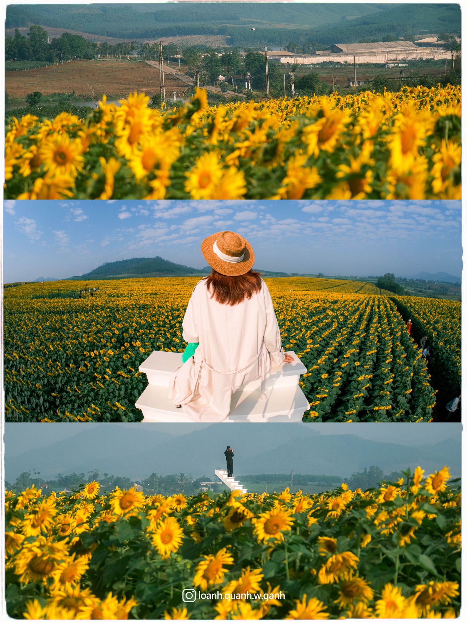 Nơi được quan tâm nhất lúc này ở Nghệ An: Cảnh như nước ngoài, mở cửa miễn phí nhưng có lưu ý đặc biệt- Ảnh 11. Nơi được quan tâm nhất lúc này ở Nghệ An: Cảnh như nước ngoài, mở cửa miễn phí nhưng có lưu ý đặc biệt- Ảnh 11.