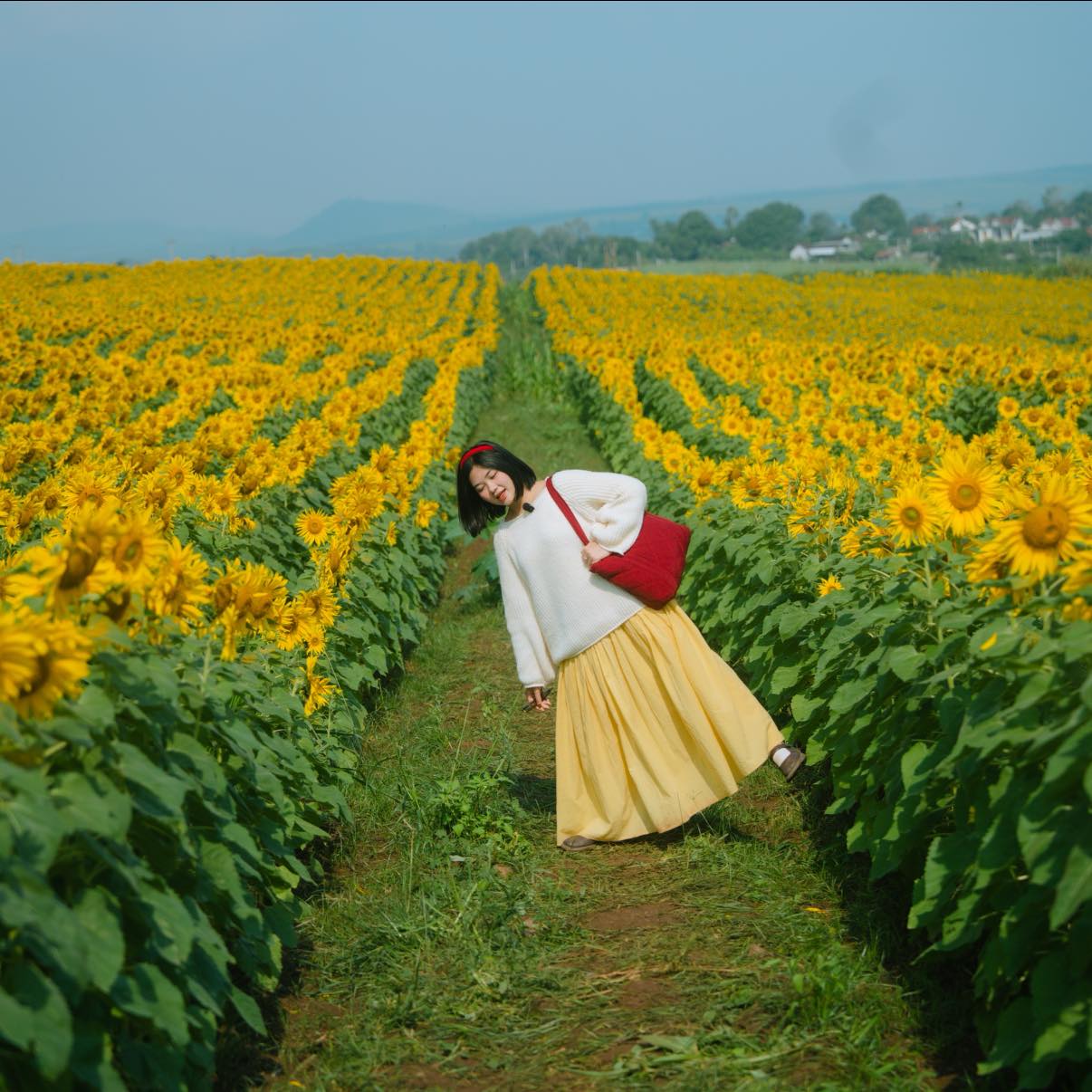 Nơi được quan tâm nhất lúc này ở Nghệ An: Cảnh như nước ngoài, mở cửa miễn phí nhưng có lưu ý đặc biệt- Ảnh 16. Nơi được quan tâm nhất lúc này ở Nghệ An: Cảnh như nước ngoài, mở cửa miễn phí nhưng có lưu ý đặc biệt- Ảnh 16.