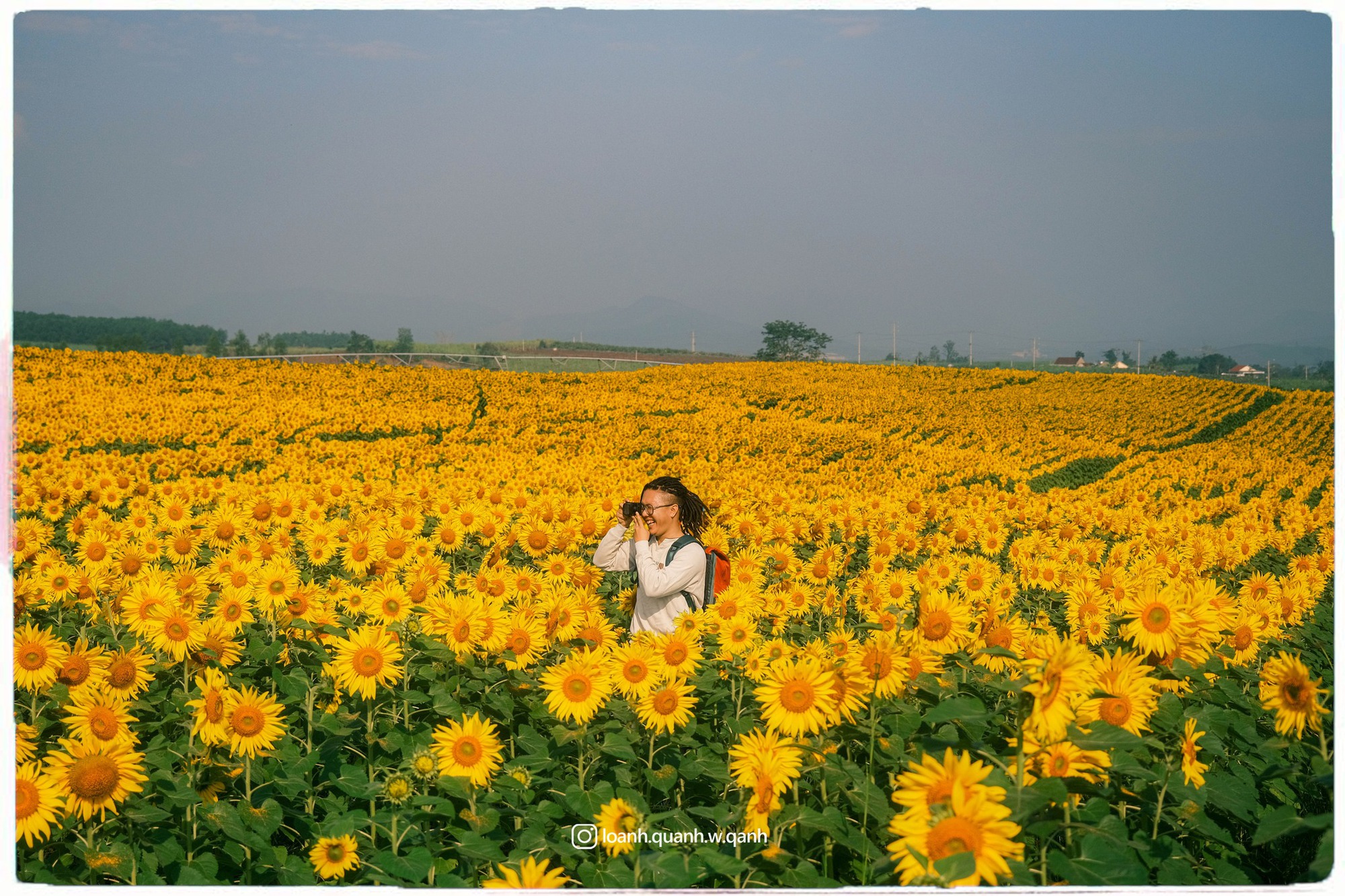 Nơi được quan tâm nhất lúc này ở Nghệ An: Cảnh như nước ngoài, mở cửa miễn phí nhưng có lưu ý đặc biệt- Ảnh 13. Nơi được quan tâm nhất lúc này ở Nghệ An: Cảnh như nước ngoài, mở cửa miễn phí nhưng có lưu ý đặc biệt- Ảnh 13.