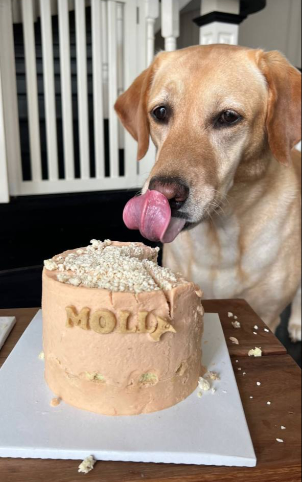 T&igrave;nh h&igrave;nh hiện tại của Tăng Thanh H&agrave;- Ảnh 4.